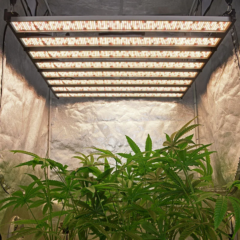 Professional DIY 1000W Wireless LED Grow Light for Greenhouse Vertical Farm - TG1000