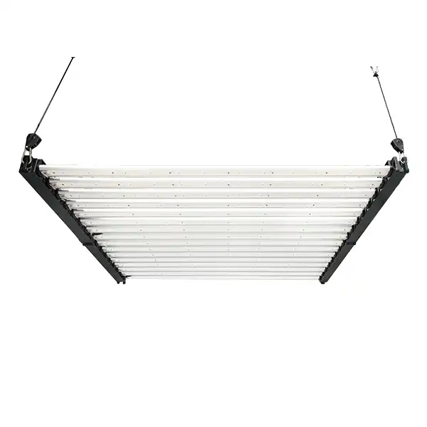 16 Bars 1000W Wholesale Full Spectrum LED Grow Light for Industry Growth - LX-GLM120-16