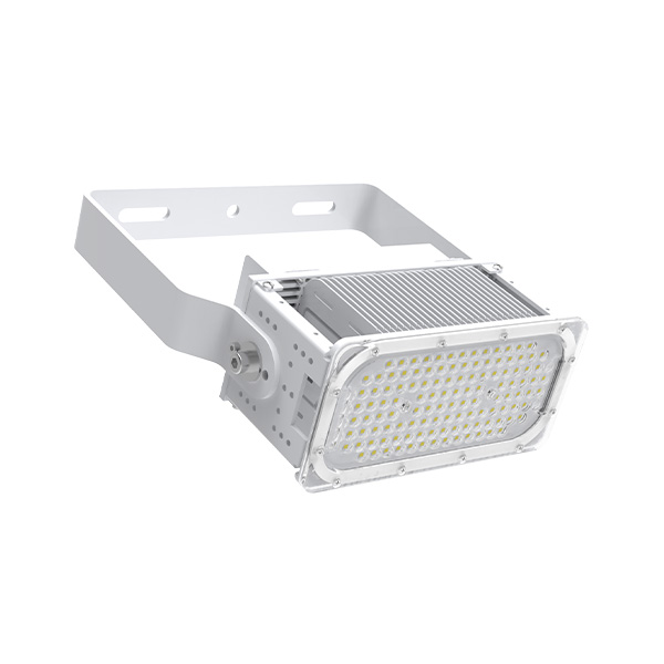 High Quality 80W LED Marine Lighting - LX-FL01