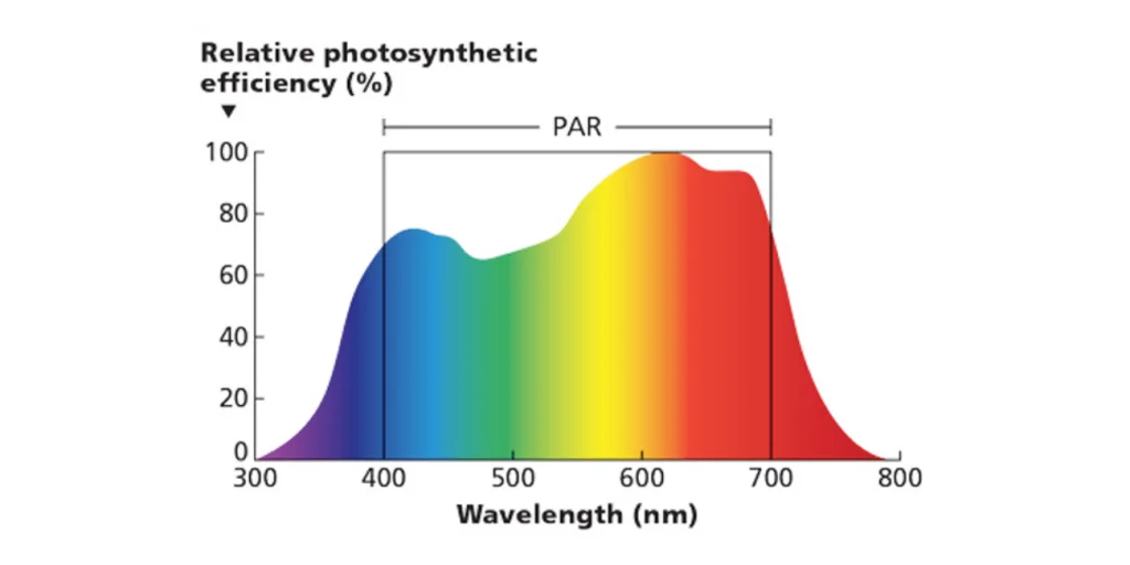 Plant-growth-lights